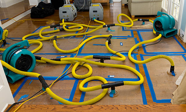 Professional Flood Damage Restoration technician working in Enumclaw, WA